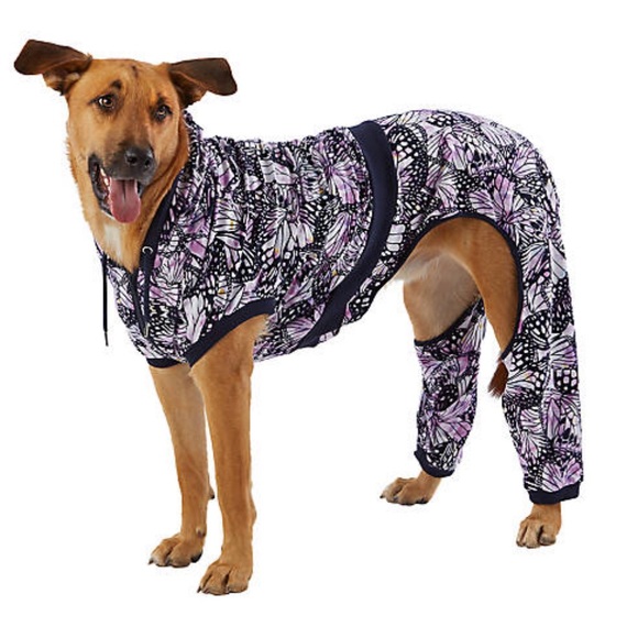 Top Paw hooded tracksuit